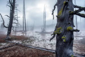 勒布朗的统治时代落幕了吗新老巨星的交锋，谁才是未来之王