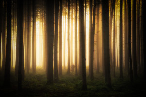 电竞界的“流量密码”这笔转会操作引爆全网！