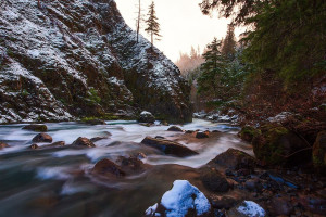 热血与梦想！日本电竞国家队征途漫漫，未来可期！